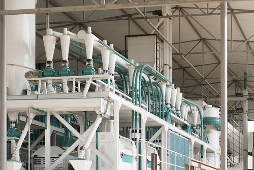 河南中瑞糧油機械 面粉加工工藝流程、設備制造與光伏設備銷售業務概覽